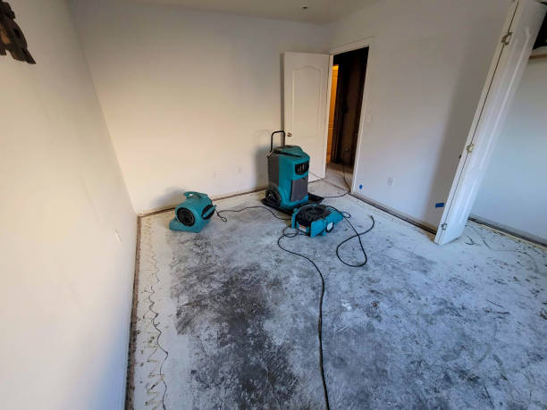 Best Water damage cleanup near me  in Colfax, IA