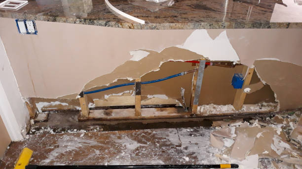 Best Carpet water damage restoration  in Colfax, IA