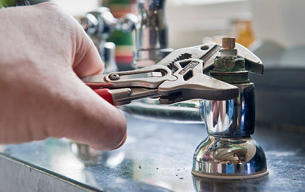 Best Mold removal after water damage  in Colfax, IA