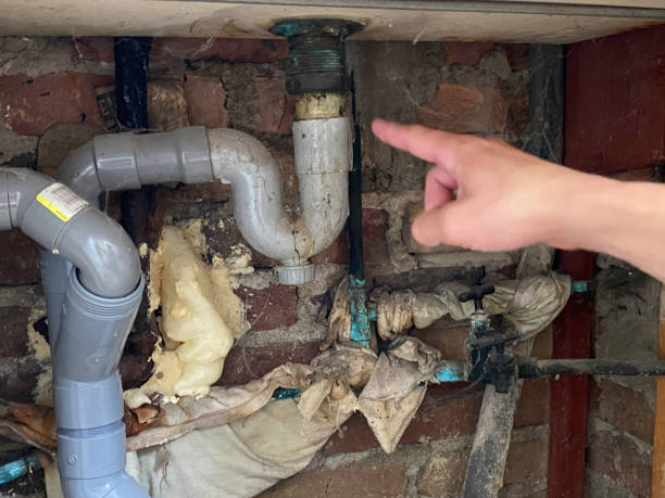 Carpet water damage restoration in IA